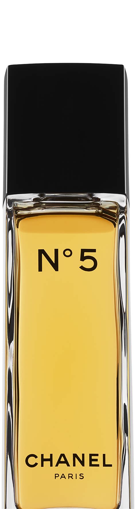 chanel no 5 male face|chanel no 5 special offers.